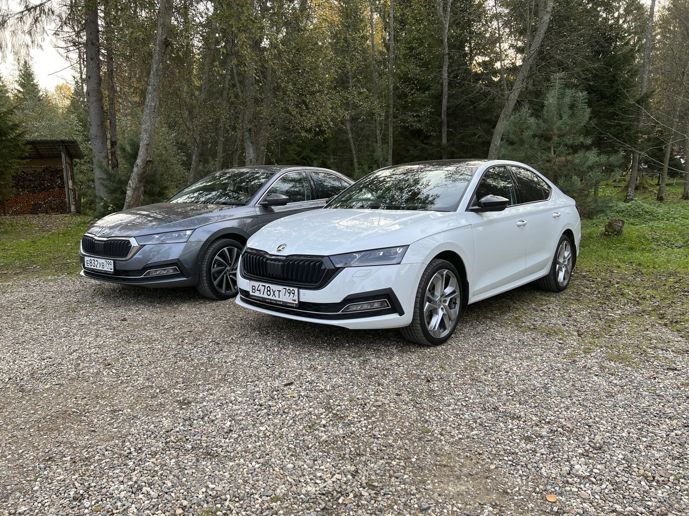 Про Skoda Rapid с DSG, Simply Clever и отечественные сыры —  Mobile-review.com — Все о мобильной технике и технологиях