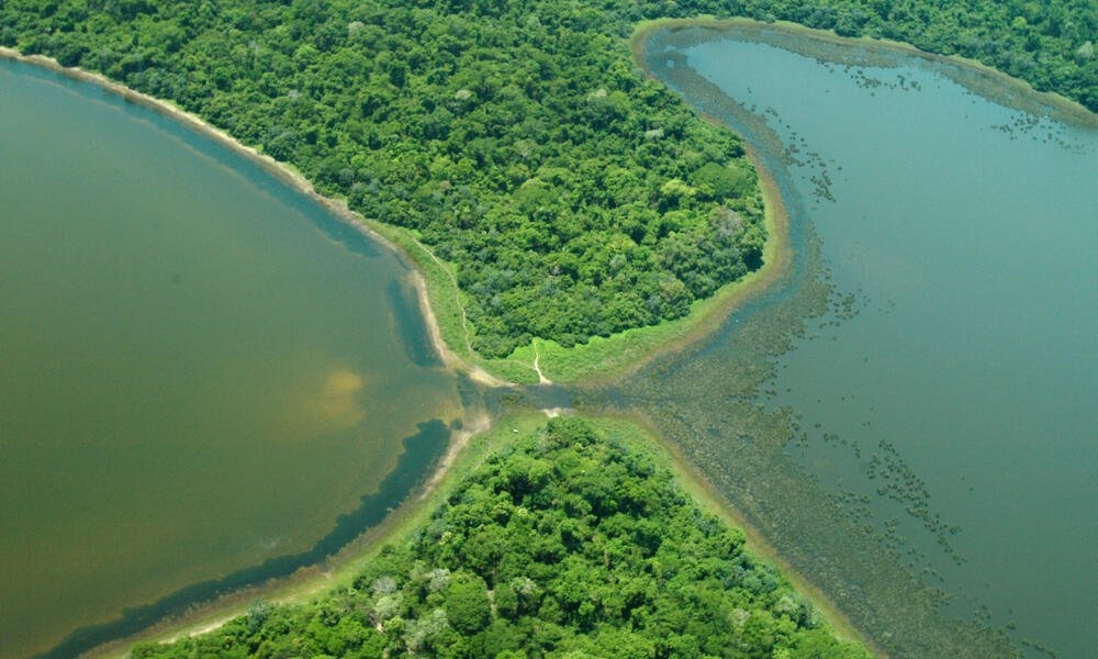 oppo pantanal