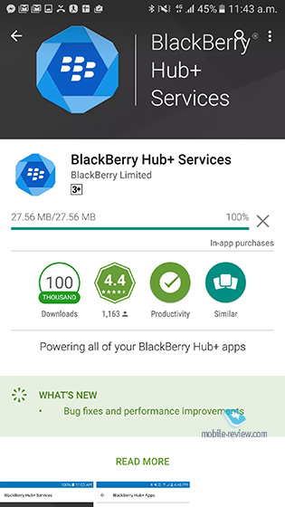 Blackberry Hub