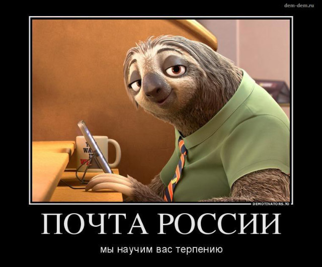 Sberbank und Mail: der Weg von Memes zu Kundendienst 