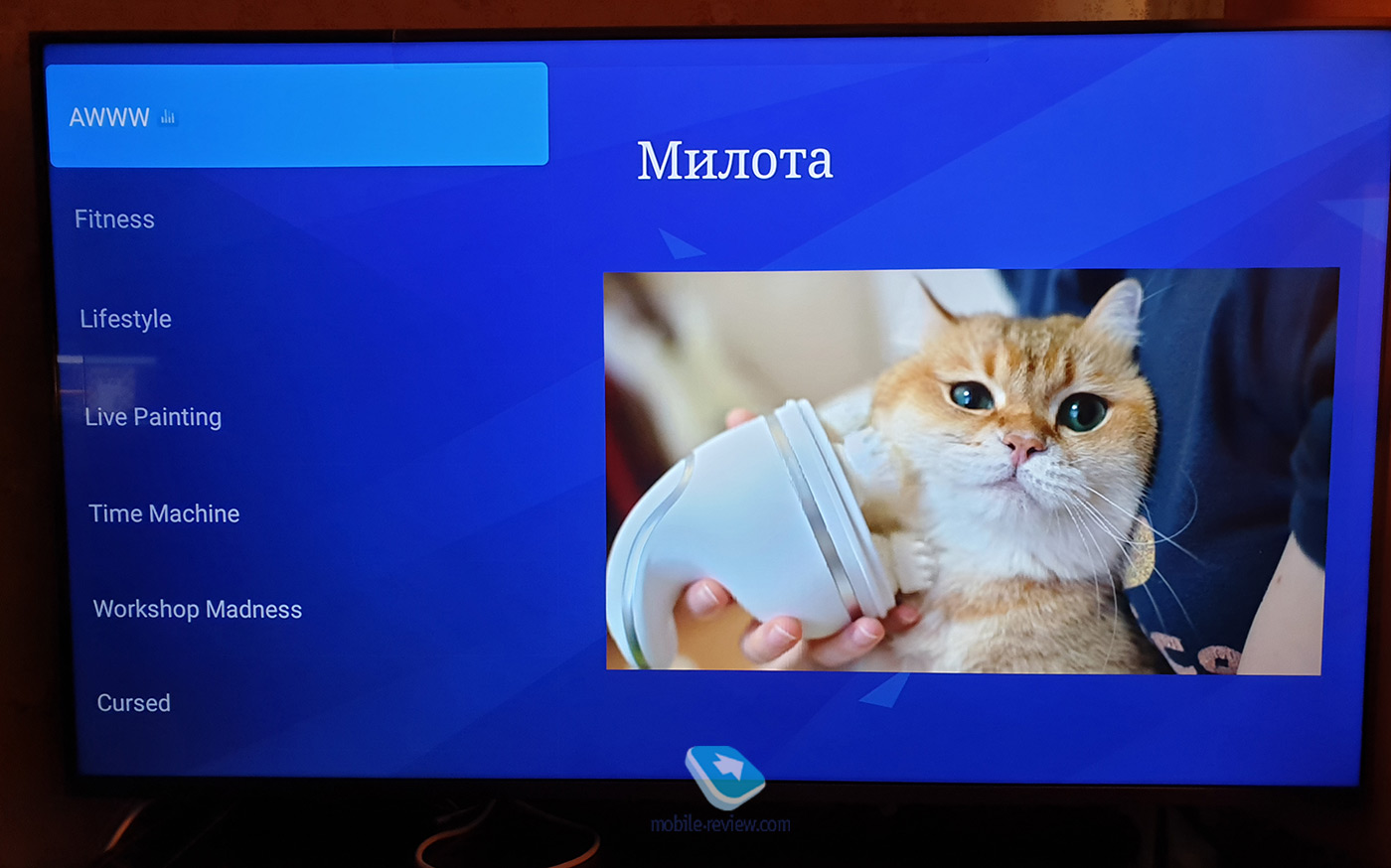 Обзор телевизора Xiaomi Mi LED TV 4S 55