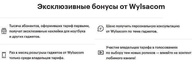 MegaFon, Wylsacom Edition Internet tariff