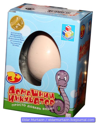Купить яйцо детям. Домашний инкубатор игрушка. Яйцо из которого вылупляется динозавр. Игрушка в яйце. Водяные яйца игрушка.