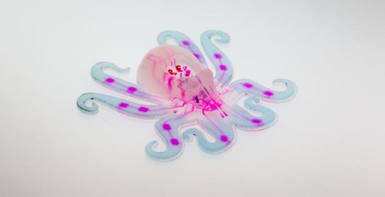 Octobot-3